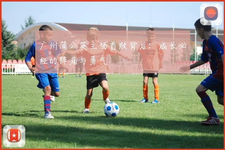 广州蒲公英主场首败背后：成长必经的阵痛与勇气